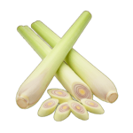 pngtree-fresh-lemongrass-stalks-and-slices-isolated-on-transparent-background-png-image_16583241
